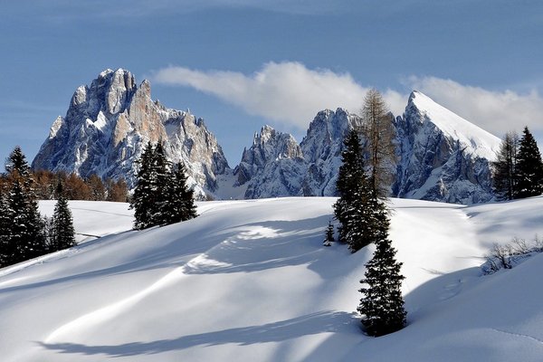 Fotolia_23517061_L_01_17642498dc