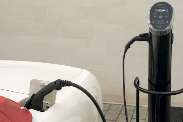 ampnet_photo_20181214_159327