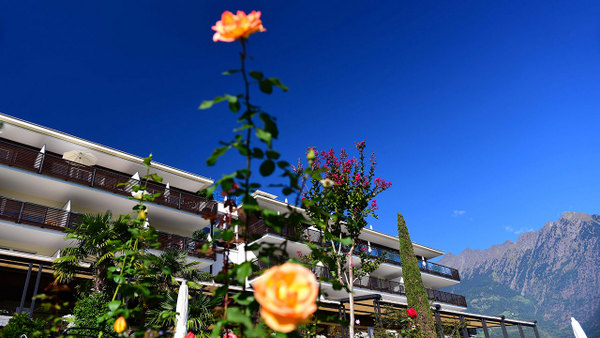 garten_2_20181008_1637257794