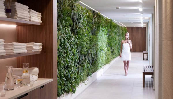 wellness_3_20180928_1957441168