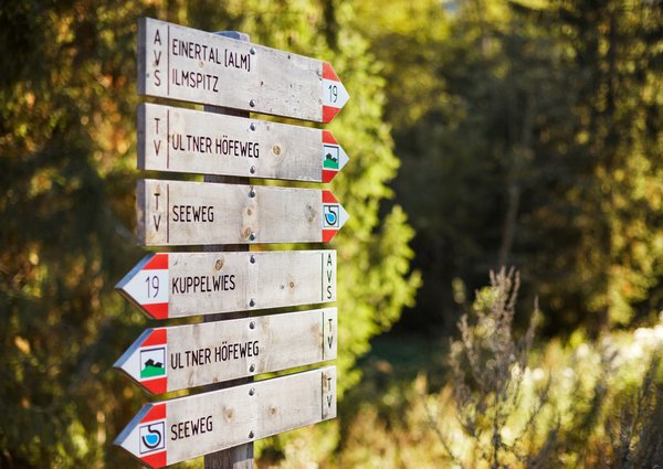 56_Arosea_Aktiv-in-der-Natur-am-Zoggler-Stausee04_G3A1525-001