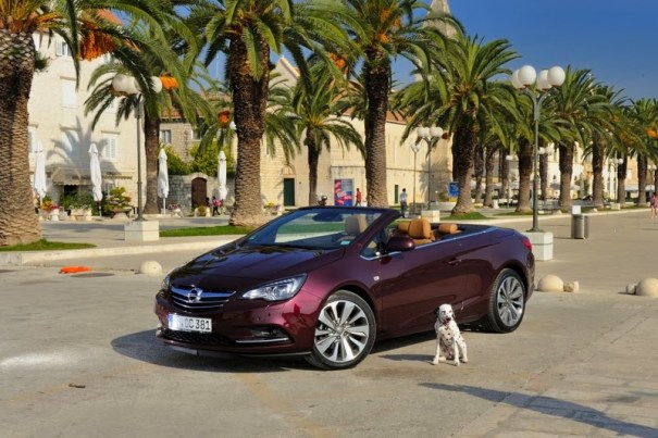 Cascada 20