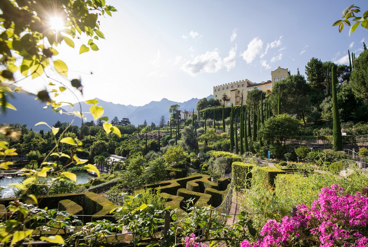 Screenshot 2022-04-17 105744