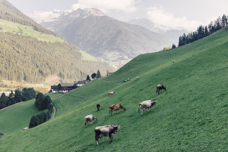 06alpenpalace_2022_danielzangerl_622